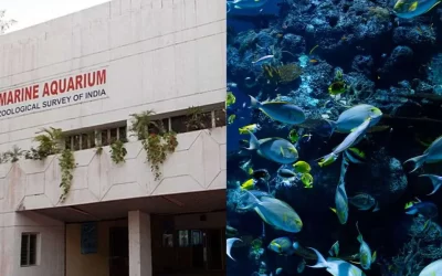 Marine Aquarium & Regional Centre